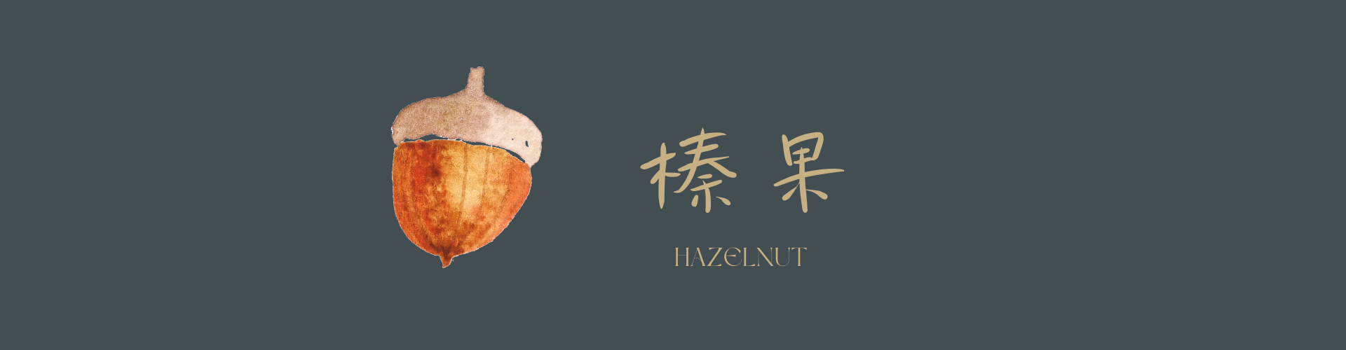 HazelNut Logo